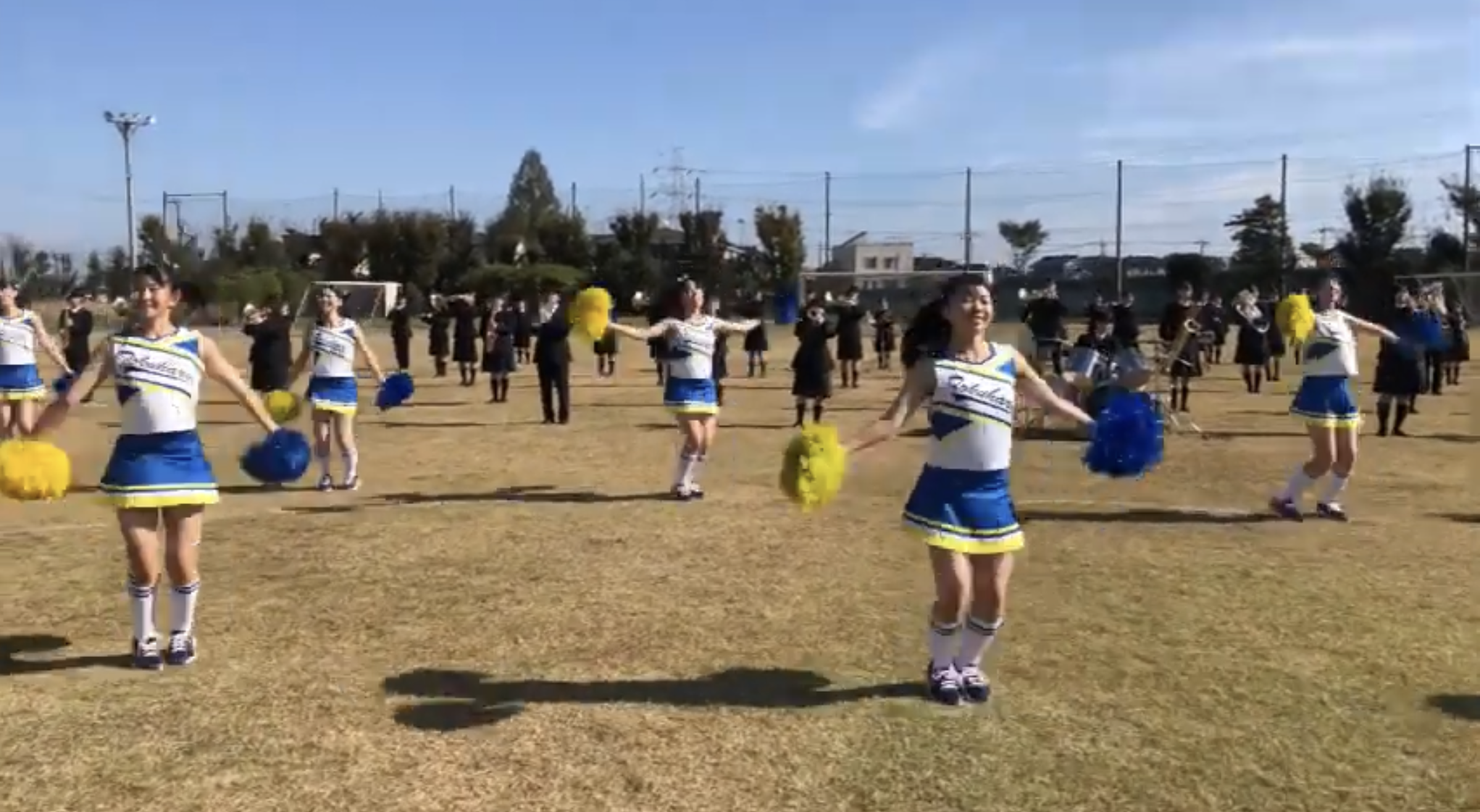 動画で見る花咲 花咲徳栄高等学校